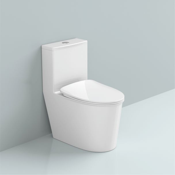 1280°高温陶瓷 大管道 连体座便器2271.jpg